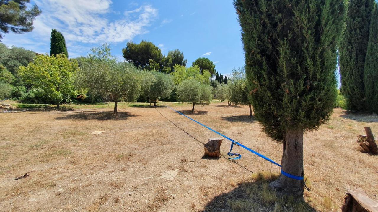 Terres Du Baguier Ceyreste Exterior foto
